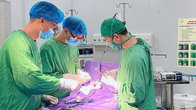 先天性十二指腸閉塞を患う生後27日の男児の命を救う。