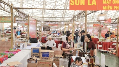 ពិព័រណ៍និទាឃរដូវឆ្នាំ ២០២៦៖ ការលើកកម្ពស់គុណភាពនៃពិព័រណ៍ពាណិជ្ជកម្មវៀតណាមដោយផ្អែកលើបទពិសោធន៍អន្តរជាតិ។