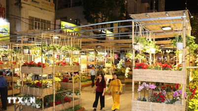 Can Tho: Inauguração da Rua das Flores da Arte da Primavera 2026 (Ano do Cavalo)