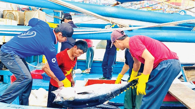 ภาคการประมงของจังหวัดเกียลายมุ่งเน้นการพัฒนาอย่างยั่งยืน