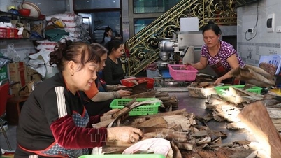 ក្នុងរដូវបុណ្យចូលឆ្នាំចិន ភូមិនិញយ៉ាងបង្កើនការផលិតនំបាយស្អិតទ្វេដង។