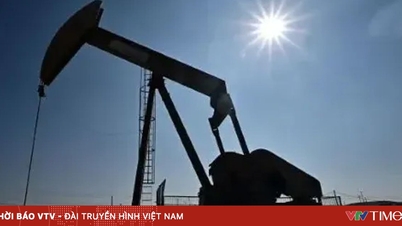 OPEC+ ২০২৬ সালের এপ্রিল থেকে উৎপাদন বৃদ্ধি পুনরায় শুরু করতে পারে।