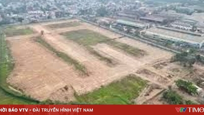 भूमि उपयोग के उद्देश्य में परिवर्तन पर विचार करने और निर्णय लेने का आधार।