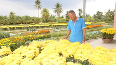 Alegrias e tristezas acompanham a temporada das flores do Tet, no Ano do Cavalo (2016).