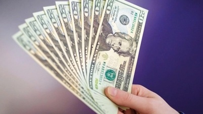 سعر صرف الدولار الأمريكي في 15 فبراير 2026: "السوق السوداء" تشهد تقلبات كبيرة.