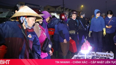 With calm seas and clear skies, fishermen in Ha Tinh are delighted to welcome a bountiful harvest from the ocean.