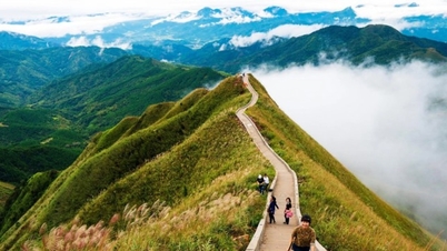 Voyage printanier dans le nord du Vietnam : 3 itinéraires idéaux de trekking et de détente pour les personnes actives.