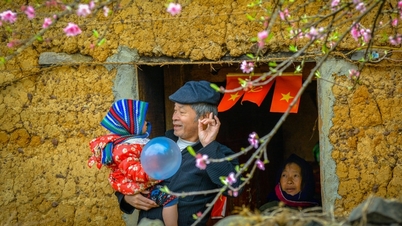 Launching a photo and video contest on the theme of "Happy Tet"
