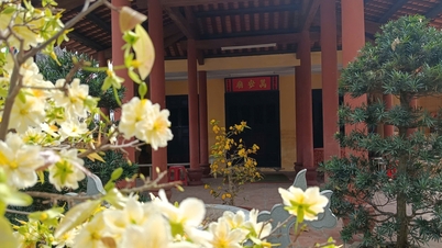 สถานที่สำคัญทางประวัติศาสตร์ 2 แห่งในจังหวัด Khánh Hòa "ประดับประดาด้วยชุดฤดูใบไม้ผลิ" หลังจากมีรายงานจากหนังสือพิมพ์สตรีเวียดนาม
