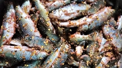 O Ministério da Saúde alerta para o risco de intoxicação alimentar causada por alimentos fermentados e selados.