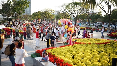 2026 Tet Binh Ngo'su sırasında Da Nang: Canlı bahar renkleri, kültürel ve turistik bir destinasyon.