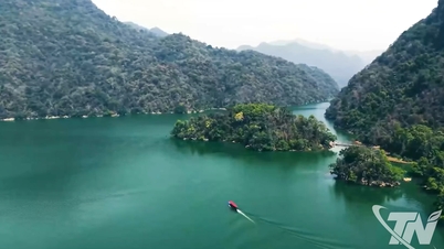 Montaña Coc – Lago Ba Be: Una belleza entrelazada con la naturaleza.
