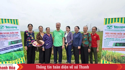 ទៀនណុង៖ សាបព្រួសគ្រាប់ពូជវិទ្យាសាស្ត្រ ថែរក្សាកសិកម្មបៃតងប្រកបដោយចីរភាព។