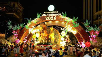 Can Tho inaugurates the Spring Flower Street for the Year of the Horse 2026.