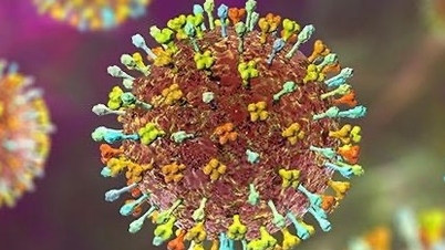 Ministerstvo zdravotnictví vydalo dočasné pokyny pro sledování a prevenci onemocnění virem Nipah u lidí.