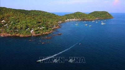 Весна приходить з хвилями Південно-Західного моря.