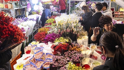 ตลาดดอกไม้เมืองกวางอานสว่างไสวไปทั่วทั้งคืนก่อนวันตรุษจีนปีม้า 2026