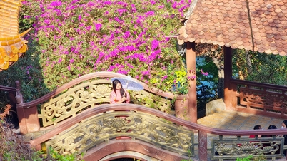 Vinh Te - Gunung Sam, destinasi wisata musim semi yang ideal.