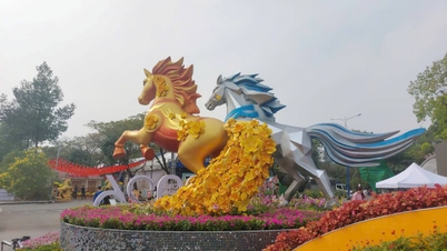 La rue des fleurs printanières de Binh Duong sera ouverte au public à partir du 15 février.