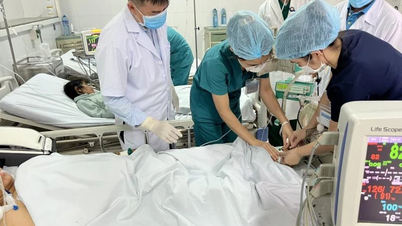 Autoritățile investighează de urgență presupusul incident de intoxicație alimentară în urma consumului de pește fermentat în Da Nang.