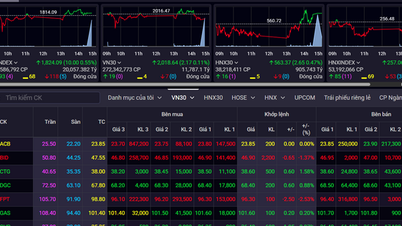 এই সপ্তাহে ভিএন-সূচক ৩.৯১% বেড়েছে, বিদেশী বিনিয়োগকারীরা নিট ক্রয়ে ফিরে এসেছেন।