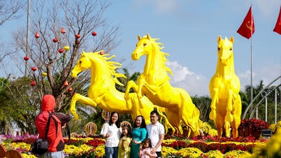 Da Nang is tijdens het Maan Nieuwjaar van het Paard 2026 prachtig versierd met bloemen.