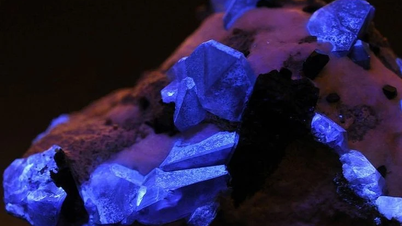 Estas raras joyas sólo existen en regiones especiales del mundo.