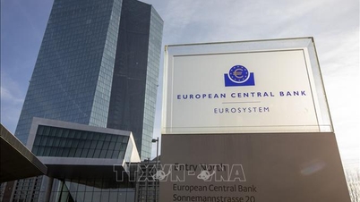 The ECB's latest move aims to strengthen the euro's international role.