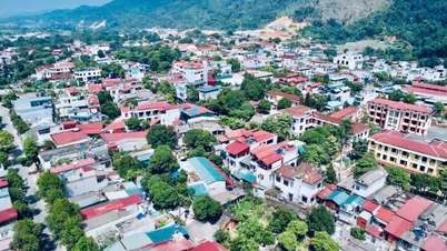 Musim semi pertama setelah penggabungan di tanah kelahiran Bao Thang.