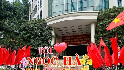 Ngoc Ha streets are adorned with flags and flowers to welcome Tet.