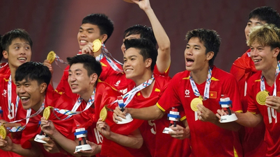 Retour sur le football vietnamien en 2025 : une multitude de succès et aussi quelques… déceptions.