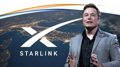 Starlink Vietnam tiene un capital de 30 mil millones de VND y su director general es vietnamita.