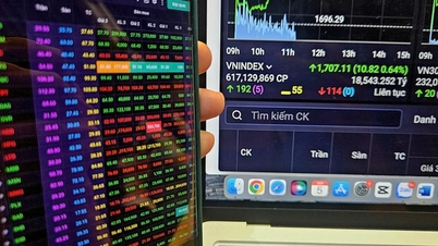 Tahun Baru Imlek yang suram bagi para investor pasar saham Vietnam.