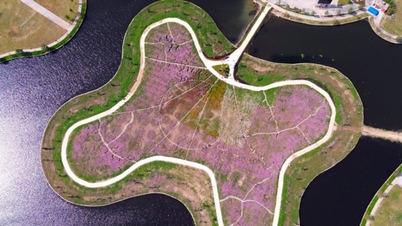 Ca Mau : Une île de 2,5 hectares recouverte de fleurs à papillons, aux couleurs printanières éclatantes, attire les visiteurs.