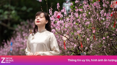 The hottest cherry blossom check-in spot in Hanoi.
