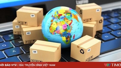 Identifying drivers of import and export growth in depth.