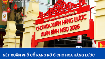 La vibrante atmósfera primaveral del Barrio Antiguo brilla intensamente en el mercado de flores de Hang Luoc.