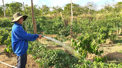 Tháng 3, nắng nóng diện rộng tại Đông Nam bộ