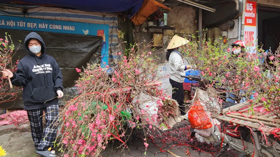 ฮานอย 28 ธันวาคม: ถนนหนทางเงียบสงบ ผู้คนเบาบาง แสงแดดอบอุ่น และตลาดดอกไม้เต็มไปด้วยสีสันสดใสของฤดูใบไม้ผลิ