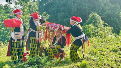 Hop Thanh om våren