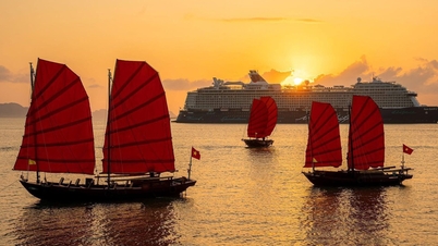 Une escapade printanière éblouissante dans la baie d'Ha Long.