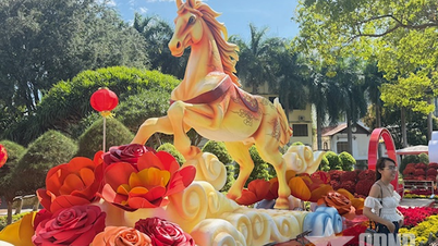 Buon Ma Thuot erstrahlt in den Farben des Frühlings.