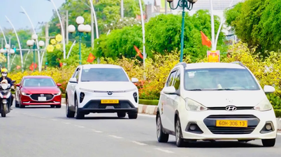 Jalan yang mengagumkan dipenuhi dengan bunga aprikot kuning yang meriah di Bandar Raya Ho Chi Minh.