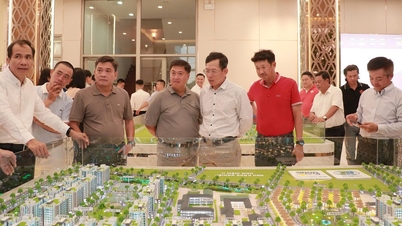 För att utveckla industriparksinfrastruktur i Ho Chi Minh-staden måste man uppnå 50 poäng av 100.