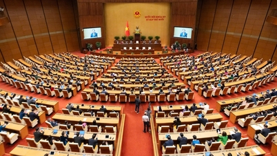 第16期国会には無党派候補65人と無所属候補4人が立候補している。