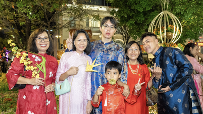Upplev nattversionen av Nguyen Hue Flower Street för Tet Binh Ngo 2026 efter öppningsceremonin.