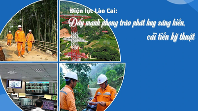 Lao Cai Power Company: Boosting the movement to promote initiatives and technical improvements.