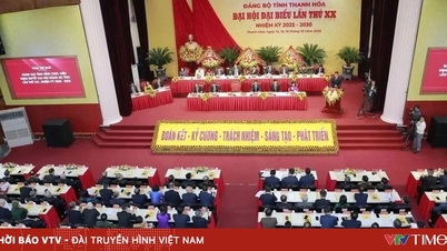 A Thanh Hoa proaktívan áttöréseket ér el a sorsdöntő 2026-os évben.