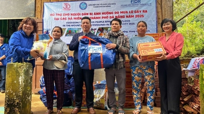 União das Organizações de Amizade de Da Nang: Priorizando resultados tangíveis na diplomacia interpessoal.