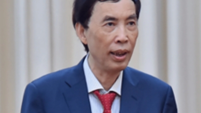 Dr. Vo Chi Thanh: Zwei strategische Wettbewerbsvorteile Vietnams